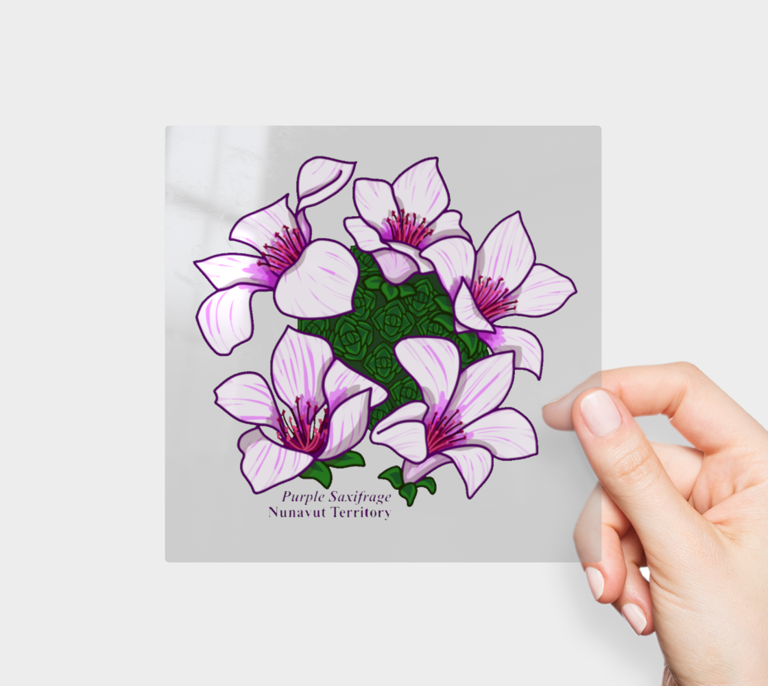 Purple Saxifrage of Nunavut Permanent Sticker