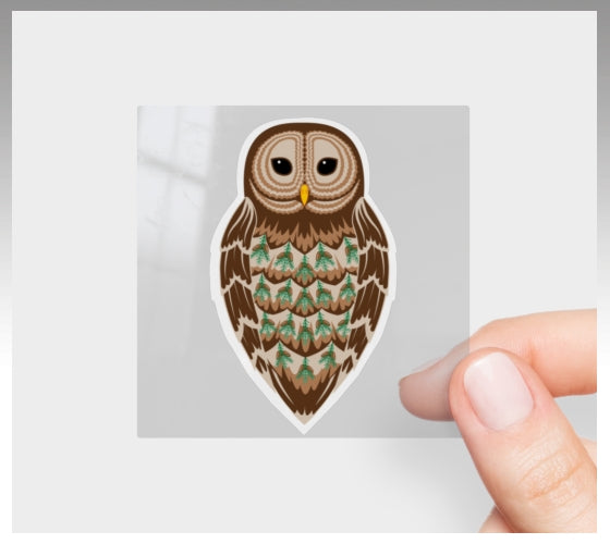 Barred Owl Balsam Fir Vinyl Sticker 3” 5” Transfer Sheet Permanent