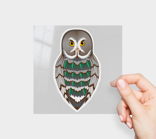 Great Grey Owl White Spruce Vinyl Sticker 3” 5” Transfer Sheet Permanent