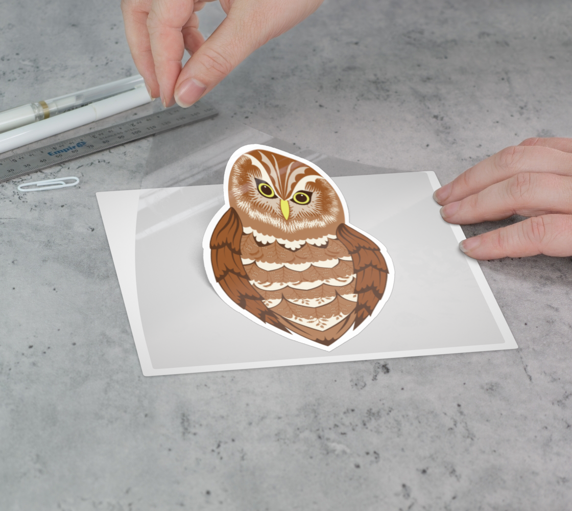 Burrowing Owl Prairie Grasses Vinyl Sticker 3” 5” Transfer Sheet Permanent