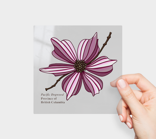 Pacific Dogwood of British Columbia Permanent Sticker