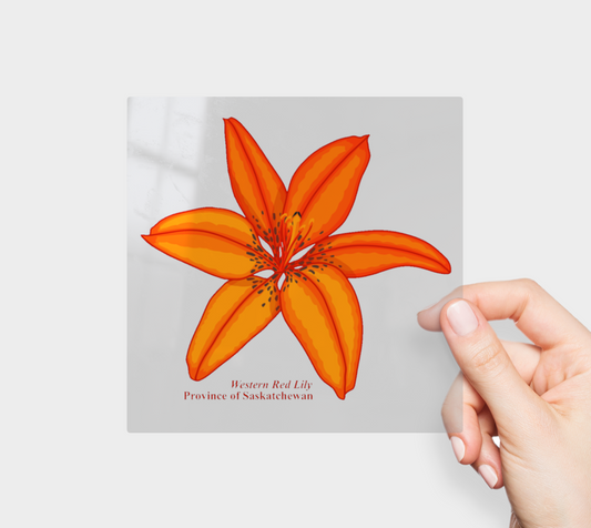 Western Red Lily of Saskatchewan Permanent Sticker