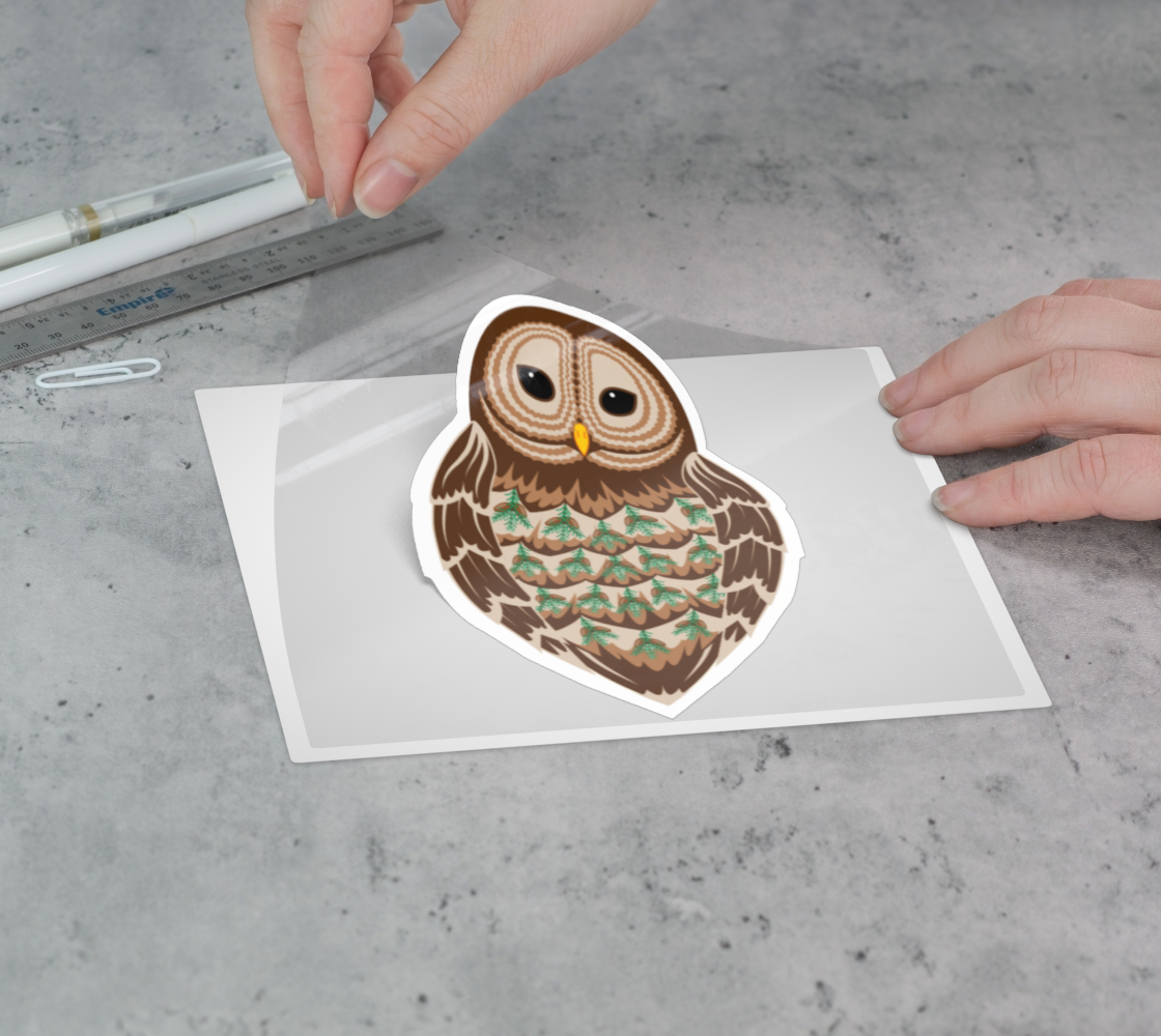 Barred Owl Balsam Fir Vinyl Sticker 3” 5” Transfer Sheet Permanent