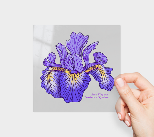 Blue Flag Iris of Quebec Permanent Sticker