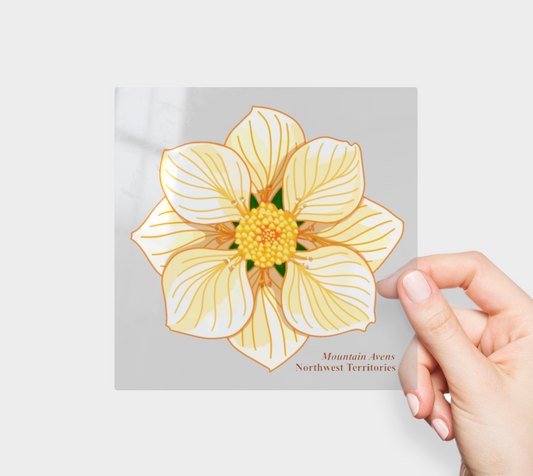 Mountain Avens of NWT Permanent Sticker